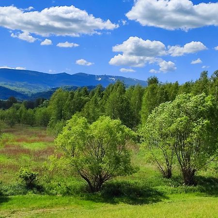 Domki Sniezka Wojcieszyce Exterior foto
