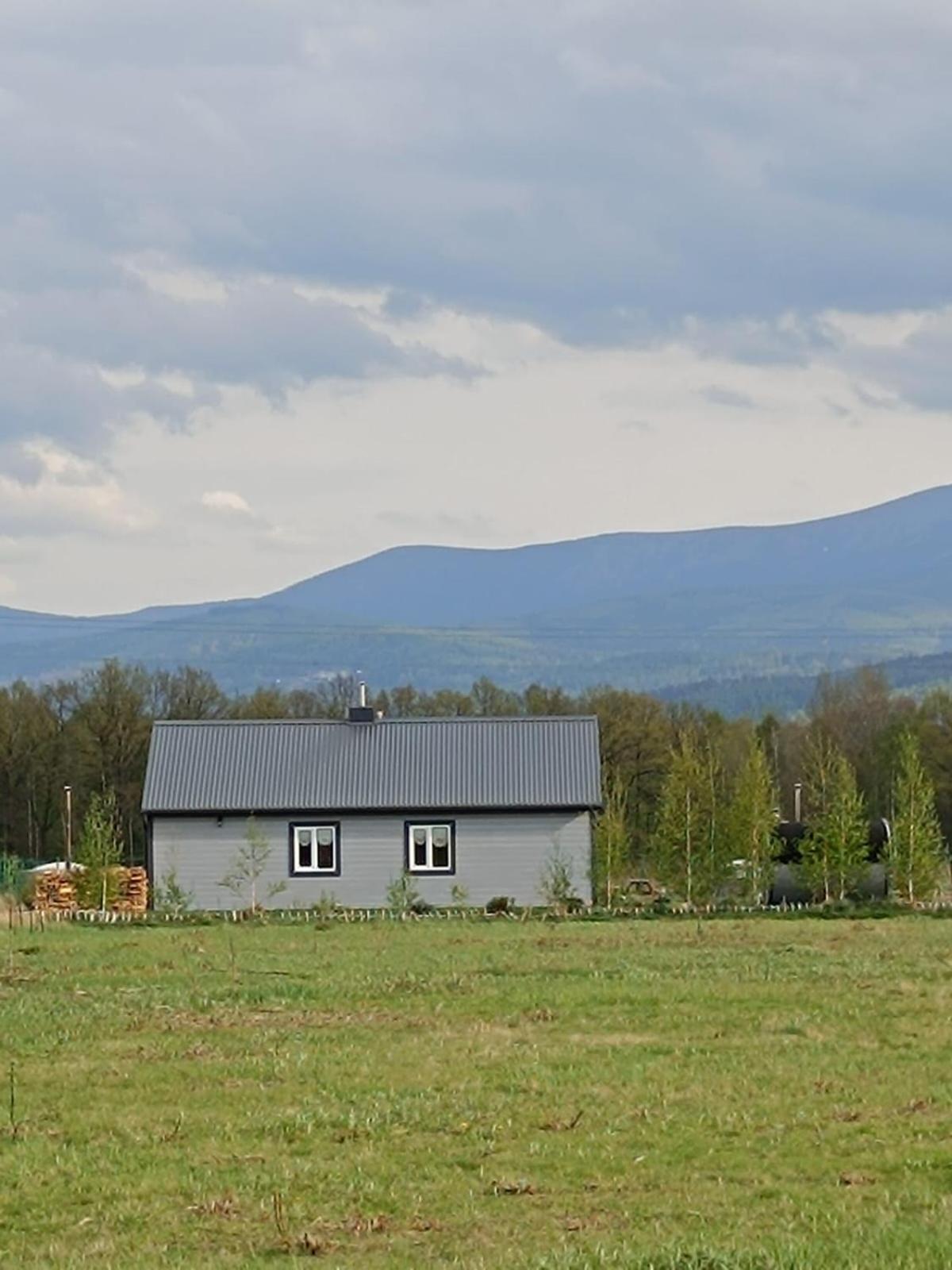 Domki Sniezka Wojcieszyce Exterior foto