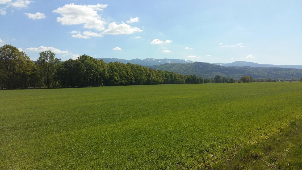 Domki Sniezka Wojcieszyce Exterior foto